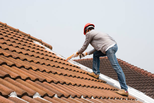 Best Hot Roofs  in Harlem Heights, FL